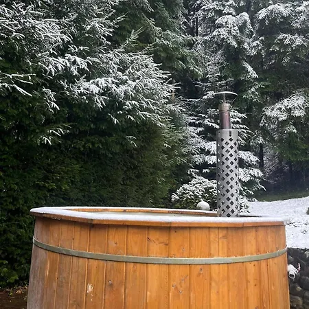 Pod Lasem Z Balia I Sauna * ミシレニツェ