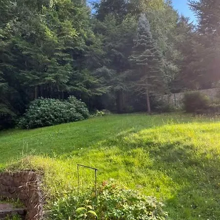 Pod Lasem Z Balia I Sauna بيت للعطل *