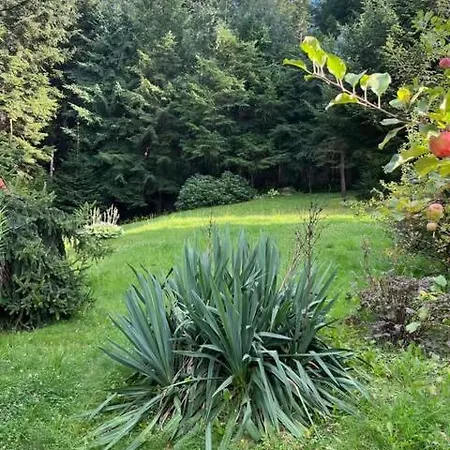 Pod Lasem Z Balia I Sauna ミシレニツェ