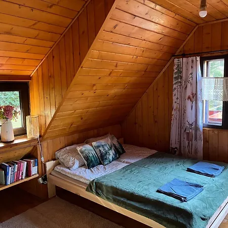 別荘 Pod Lasem Z Balia I Sauna ミシレニツェ