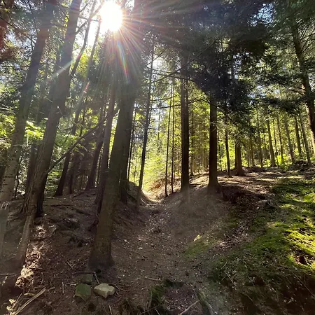 Pod Lasem Z Balia I Sauna *