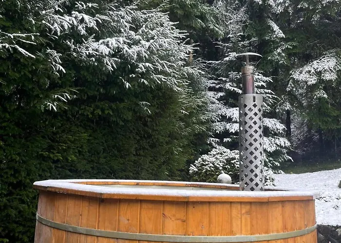 Pod Lasem Z Balia I Sauna * מישלניצה