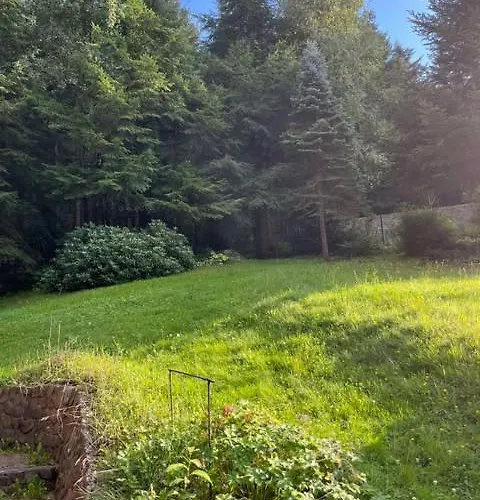 Pod Lasem Z Balia I Sauna בית נופש *