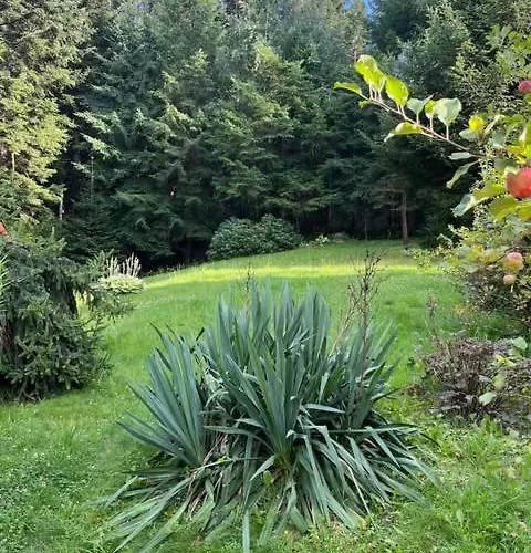 Pod Lasem Z Balia I Sauna מישלניצה