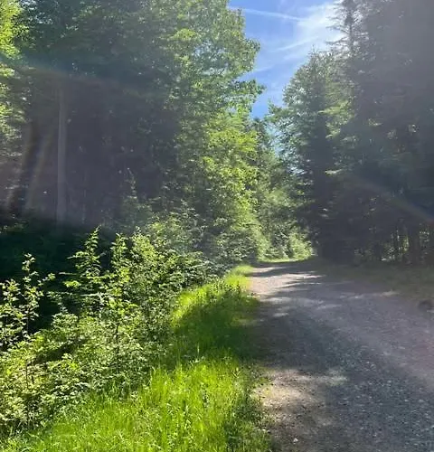 Pod Lasem Z Balia I Sauna * מישלניצה