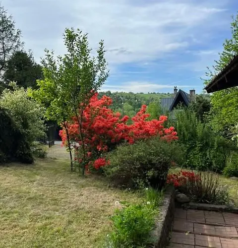 Pod Lasem Z Balia I Sauna בית נופש