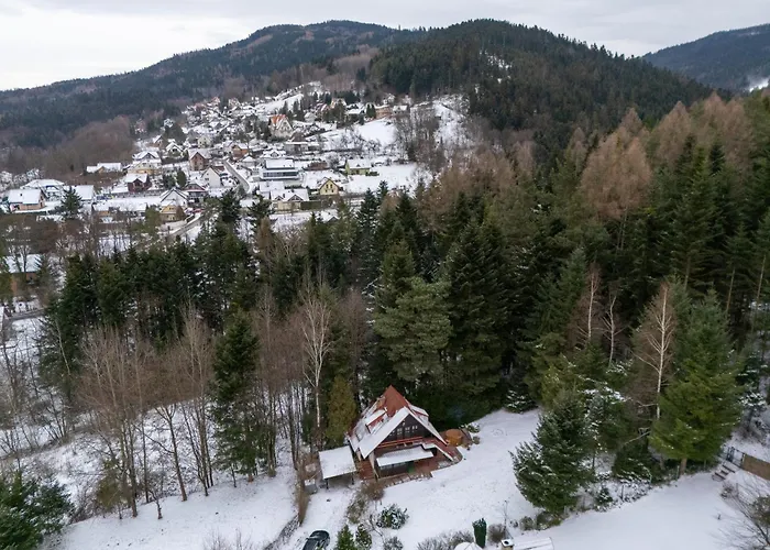 Pod Lasem Z Balia I Sauna * מישלניצה