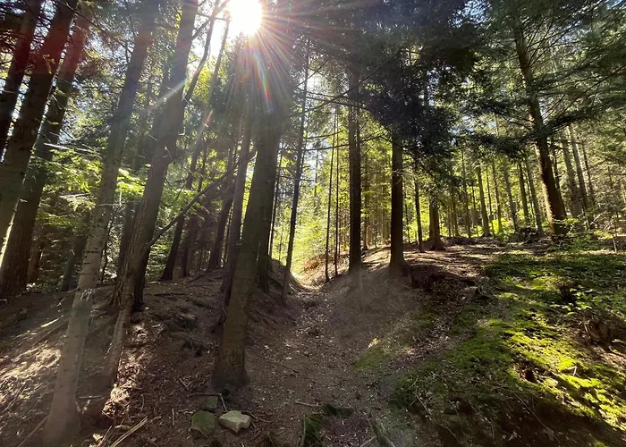 Pod Lasem Z Balia I Sauna *